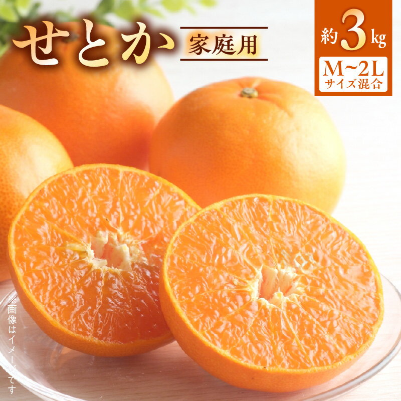 【ふるさと納税】【2026年先行受付】 せとか 家庭用 3kg М～2Lサイズ 混合 【ミカン 春みかん 柑橘】