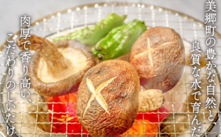 菌床しいたけ　かご入り【椎茸 約1.5kg 15~20個入り かご入り 野菜 山菜 きのこ キノコ 菌床 こだわり 肉厚 ステーキ オーブン焼き 冷蔵】