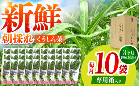【3回定期便】新鮮朝採れ くうしん菜 計30袋 / 葉物野菜 / 亀山市 / グリーンハウス吉田[AMCD003]