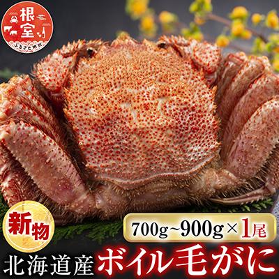 ふるさと納税 根室市 根室海鮮市場<直送>ボイル毛がに700〜900g×1尾 C-28060