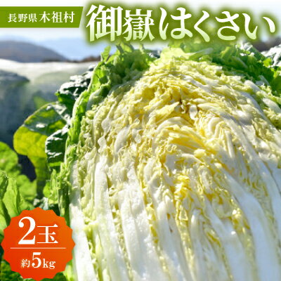 【ふるさと納税】【2026年10月発送分】【一玉一玉が大きい!シャキシャキ新鮮】御嶽はくさい 2玉【配送不可地域：離島】【1725779】