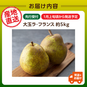 ≪先行受付≫ 特別栽培 大玉 ラ・フランス 約5kg 秀品4L～3L 【2026年1月より順次発送予定】 025-023