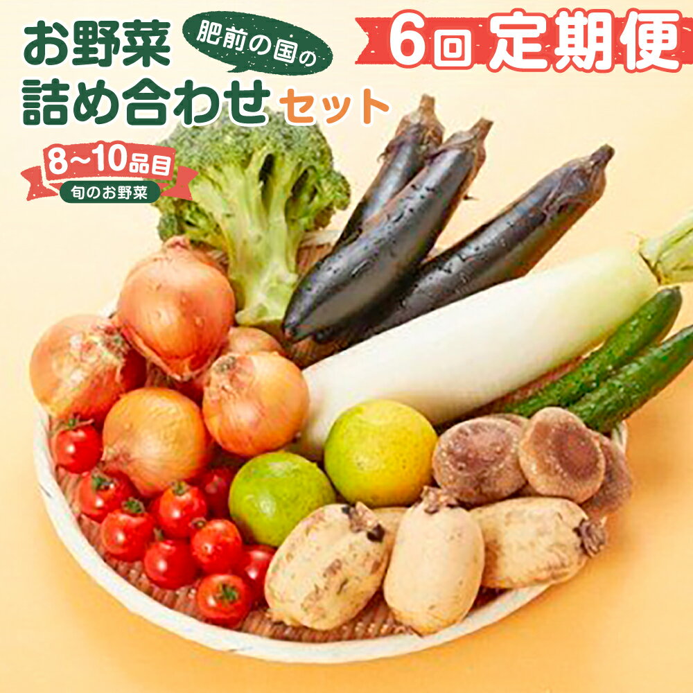 【ふるさと納税】【6回定期便】鮮度抜群！肥前の国のお野菜詰め合わせセット（8〜10品目） 野菜セット 野菜盛り合わせ 野菜ミックス 野菜ギフト 野菜 旬のお野菜 旬のくだもの 新鮮野菜 定期便 佐賀県 太良町 Q-49