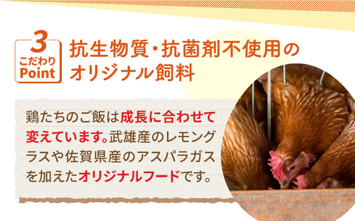 【3回定期便】いとう君ちのあっぱれ卵 24個（6個×4パック）ギフトBOX /いとう養鶏場 [UAQ009]