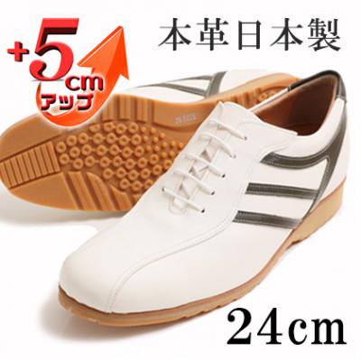 ふるさと納税 大和郡山市 メンズスニーカー 紐タイプ 5cmアップシークレットシューズ ホワイト 24cm No.997
