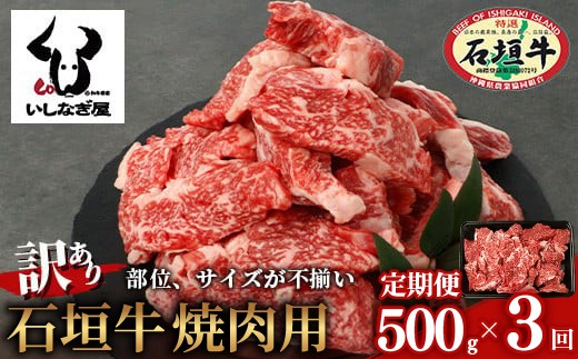 
                  【定期便】《隔月全3回》【訳あり】石垣牛 焼肉用（不揃い）500g【訳アリ 沖縄県 石垣島 石垣牛 国産 黒毛和牛 牛肉 牛 和牛 焼肉 BBQ 】AB-026-t03
                
