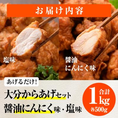ふるさと納税 佐伯市 時短おかず 揚げるだけ 大分 からあげ 醤油にんにく味・塩からあげ セット (合計1kg・各500g |  | 01