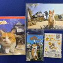 【ふるさと納税】さんじゅーろーグッズセット　【 雑貨 文房具 小物 詰め合わせ ネコ 実写 猫城主 ポストカード メモ帳 A6 サイズ ピンバッヂ ラバー キーホルダー 】