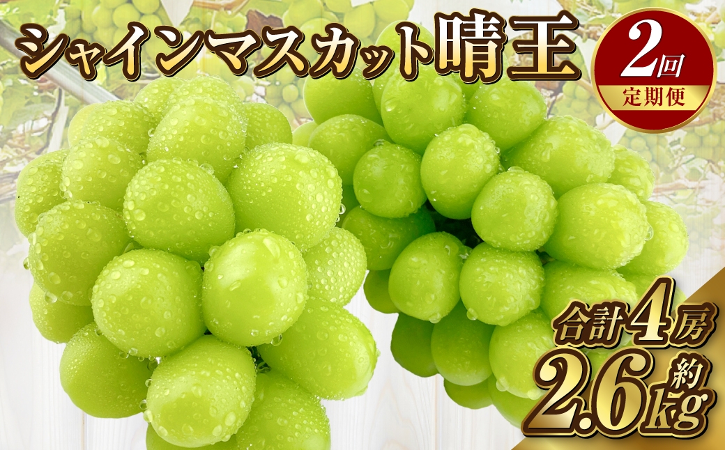 
            【定期便 全2回／2025年9・10月発送】 岡山県産シャインマスカット 晴王 2房 約1.3kg｜2回定期便 9月10月に1回づつ発送 種無し 皮ごと食べる 旬の美味しさ フレッシュ 先行予約 ハレノフルーツ
          