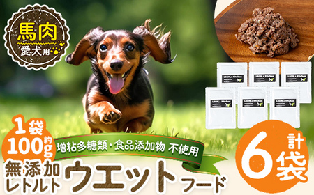 a1071-C ＜増粘多糖類・食品添加物不使用＞愛犬用無添加レトルトパック 馬ウェットフード6袋(1袋約100g・合計約600g)【Nフードサービス】姶良市 ドッグ フード パウチ 犬 ペット おやつ ごはん ご褒美 ペット関係 常温 常温保存