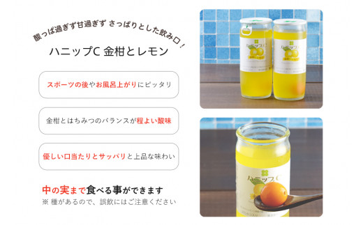 果実入り清涼飲料水 ハニップＣ 2種類セット（30本） / ドリンク 飲料 ジュース 梅 うめ りんご【prm001B】