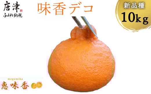 
            糖度が高すぎッ！味香デコ 10kg 新品種 果皮も美味しく食べられる！フルーツ 果物 デザート 柑橘
          