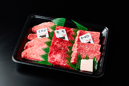近江牛 焼肉 おすすめ部位 3種盛り 600g 【FO30W】【 近江牛 】 牛肉焼肉 A5