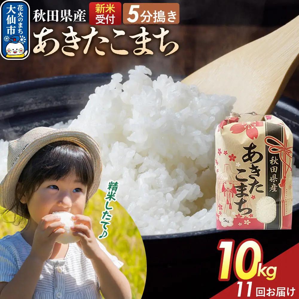 《令和8年産新米予約》 《定期便11ヶ月》【5分搗き】あきたこまち 10kg（5kg×2） 秋田県産 こまちライン 秋田県 大仙市産