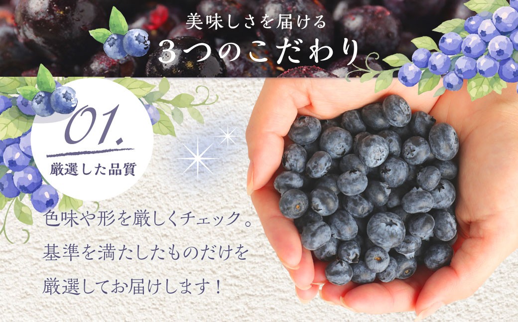 九重町産 冷凍 ブルーベリー 約1kg (1kg ×1袋) 