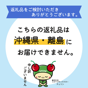 濃厚お取り寄せたまご「美幸卵」 計50個 （割れ保証10個含） 山形県産 山形産 【2024年3月10日発送分】　012-G-BK006-03