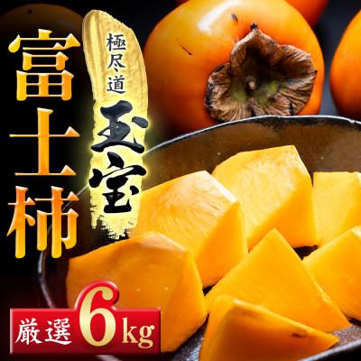ふるさと納税 八幡浜市 【堂々たる大玉】ずっしり濃密【富士柿】6kg　愛媛県産【64-95】