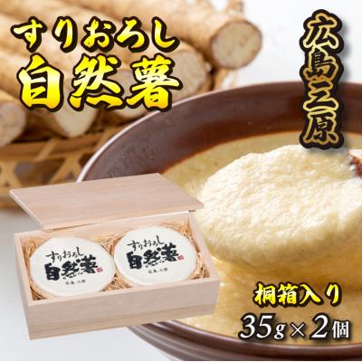 ふるさと納税 三原市 すりおろし自然薯【配達不可:離島】[029-003]