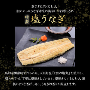 うなぎ蒲焼き・特製塩うなぎ【4本セット】 国産 名店 調理済み 山椒付き 化学調味料無添加 ギフト お歳暮 お正月 高級 お取り寄せ グルメ 食べ比べ 冷凍 四万十鰻 ／Esu-120