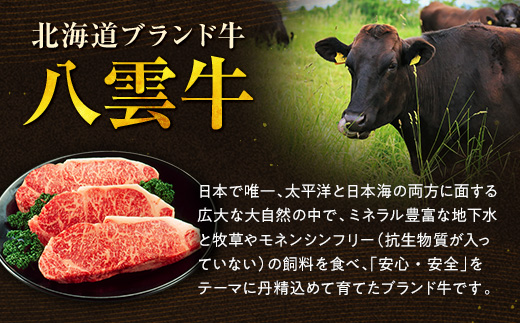 【地元新聞で紹介！】食べくらべたくなるハンバーグ〈粗挽〉 80g×10個【 はんばーぐ 牛肉 国産 肉 にく ニク 冷凍 簡単 お手軽 小分け  北海道 冷凍 冷凍食品 お弁当 弁当 おかず 弁当のおかず 調理 簡単調理 食卓     噴火湾 八雲町 北海道   】 ※沖縄・離島への配送不可