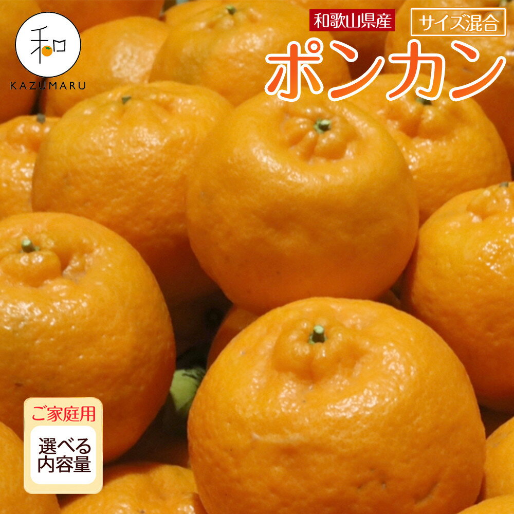 【ふるさと納税】【選べる容量】 先行予約 家庭用 森本農園の手選別 ポンカン 1.5kg～10kg 和歌山県産 サイズ混合 ［北海道・沖縄・離島配送不可］ | みかん 蜜柑 フルーツ 果物 くだもの 食品 人気 おすすめ 送料無料