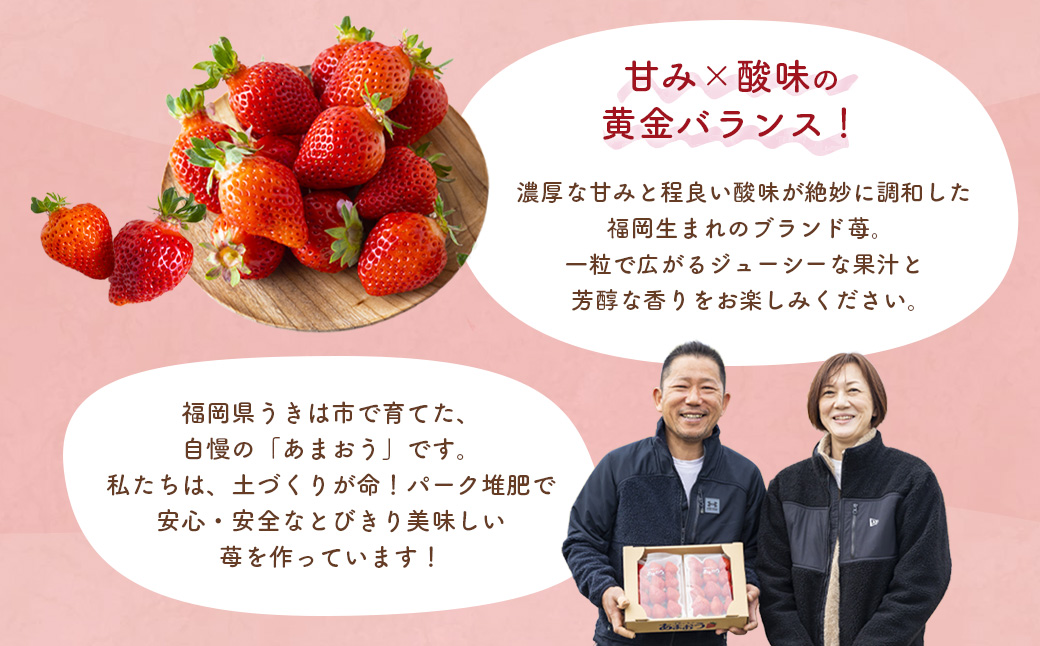 千年いちご あまおうイチゴ (300g×2パック) 3月お届け あまおう いちご イチゴ 苺 フルーツ 果物 冷蔵 送料無料 福岡県 うきは市 【2026年3月より順次発送予定】