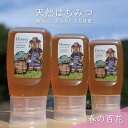 【ふるさと納税】合計900g 天然蜂蜜 国産蜂蜜 非加熱 生はちみつ 岐阜県 美濃市産 春 (蜂蜜300g入りピタッとボトル3本セット)A11　【 ハニー 調理 料理 味付け 甘味 百花蜜 深い味わい 自然の味 無添加 】