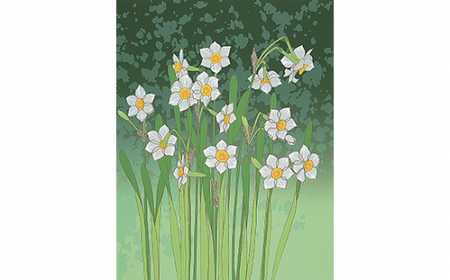 版画 「flowers 水仙」 | 版画 セリグラフ