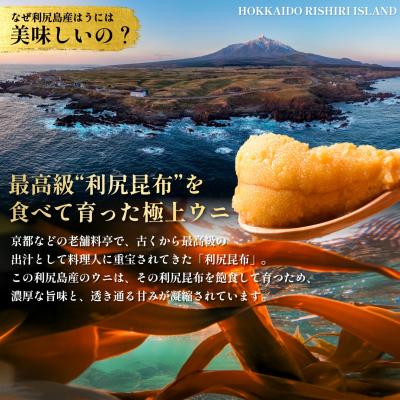 ふるさと納税 利尻町 【2026年発送受付】漁師厳選!利尻産キタムラサキウニ200g(100g×2p)[1060088] |  | 02