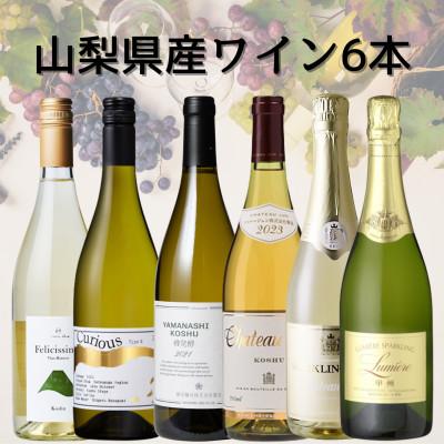 ふるさと納税 山梨県 山梨県産白ワイン6本セット　050