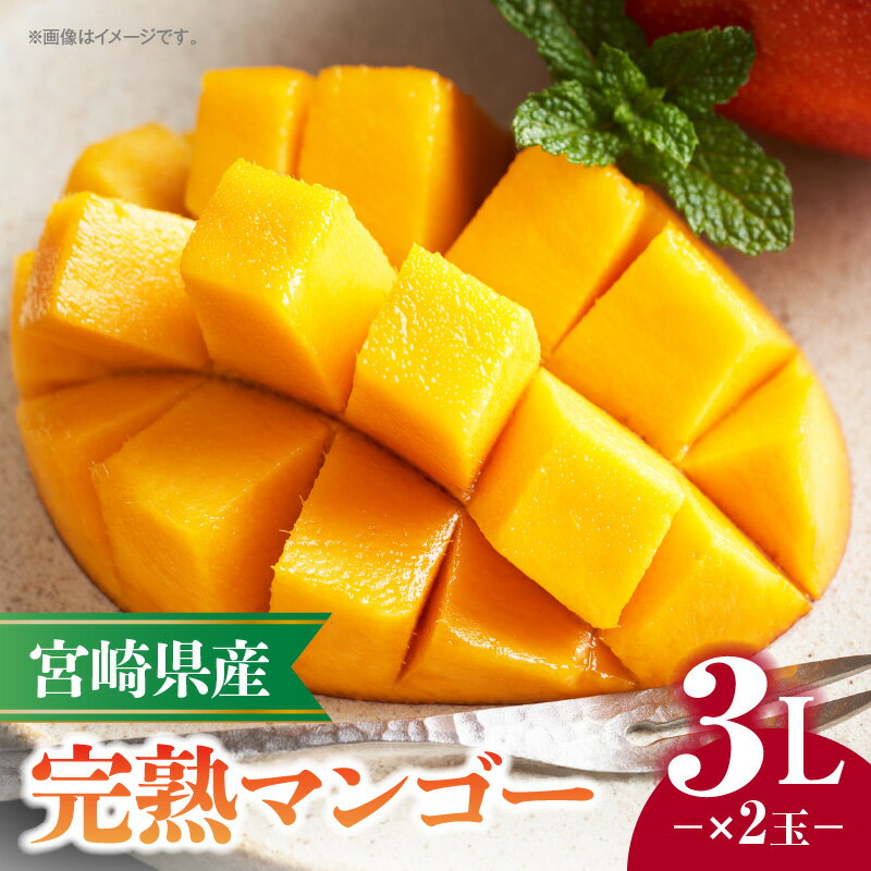 【ふるさと納税】《2025年発送》 宮崎県産 完熟マンゴー 3L×2玉 果物 フルーツ 果実 果肉 青果物 農産物 デザート スイーツ ご褒美 おすそ分け 贈り物 ギフト おすすめ グルメ お取り寄せ 旬 季節 旬の果物 季節の果物 南国フルーツ 宮崎県 宮崎市 送料無料