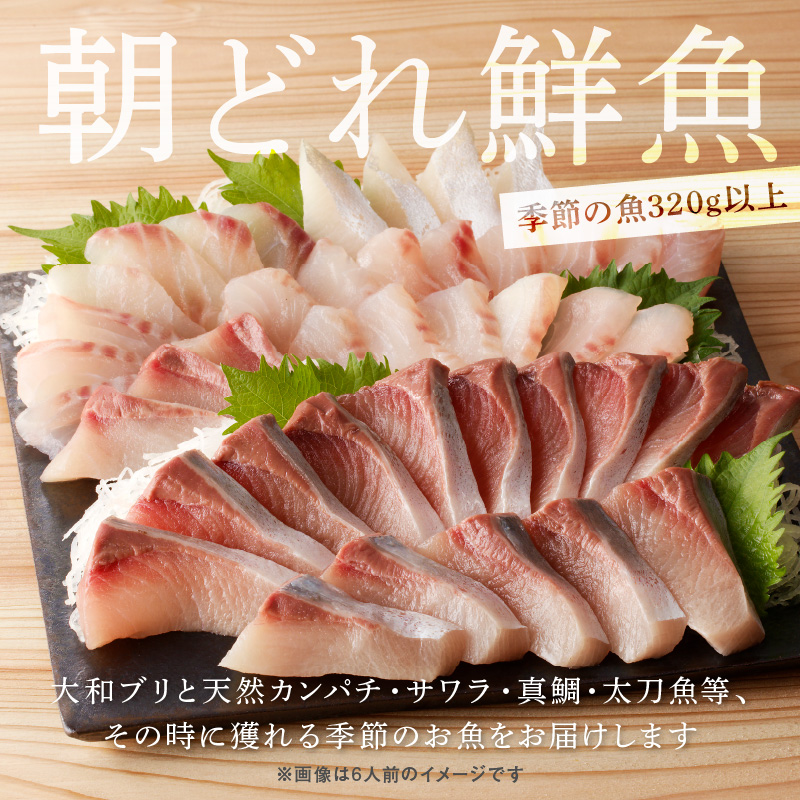 【単月お届け】大和海商 大和のこだわり漁師のお刺身4人前【冷凍】 N072-YA1112-2