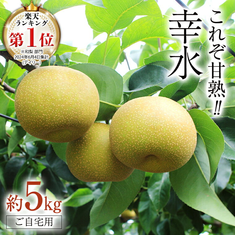 【ふるさと納税】【 ランキング 1位 獲得!! 】 これぞ甘熟 『 幸水 』 5kg ( 自家用 ) 2025年産 先行予約 フルーツ 果物 国産 日本産 梨 ナシ なし 和梨