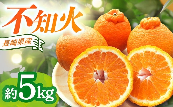 
                  【順次発送中】長崎県産 不知火 約5kg / みかん ミカン  柑橘 でこぽん  不知火 デコポン dekopon 贈答 ギフト お取り寄せみかん 甘い 果物 贈答みかん mikan こだわり 高糖度 くだもの 柑橘系 贈り物 春柑橘 フルーツ 産地直送    / 大村市 / かとりストアー[ACAN005]
                