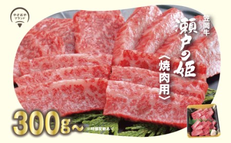 瀬戸の姫 300g（焼肉用） 牛肉 肉