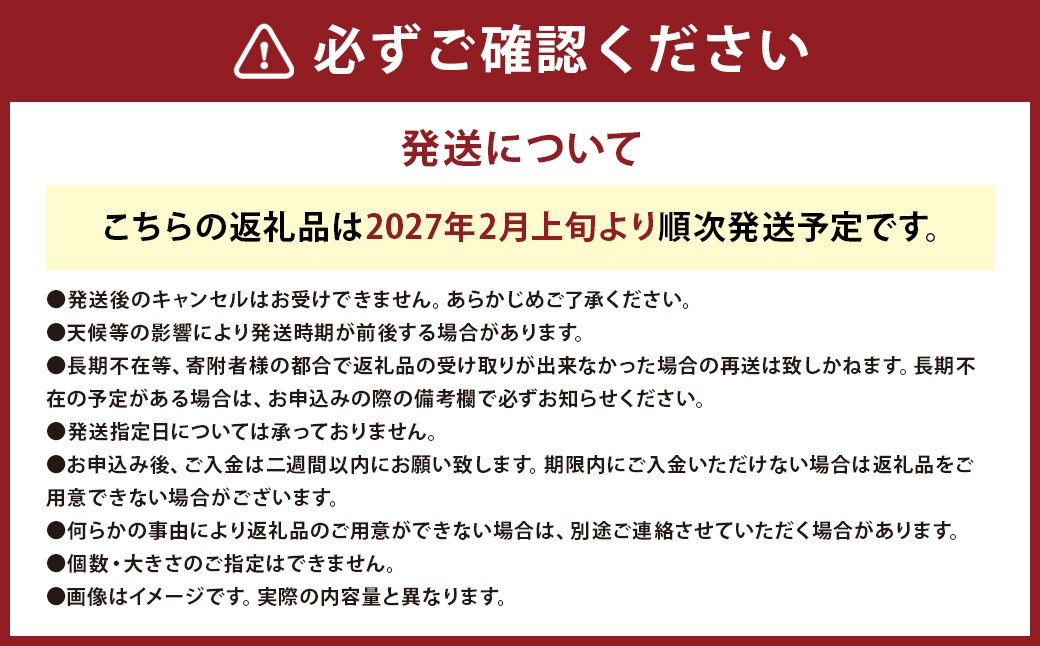 【 3回 定期便 】【2027年2月上旬より順次発送開始】早採り サラダ玉ねぎ （ 優品 ・サイズ混合）　