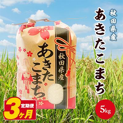 ふるさと納税 潟上市 【毎月定期便】秋田県産あきたこまち 白米 5kg全3回