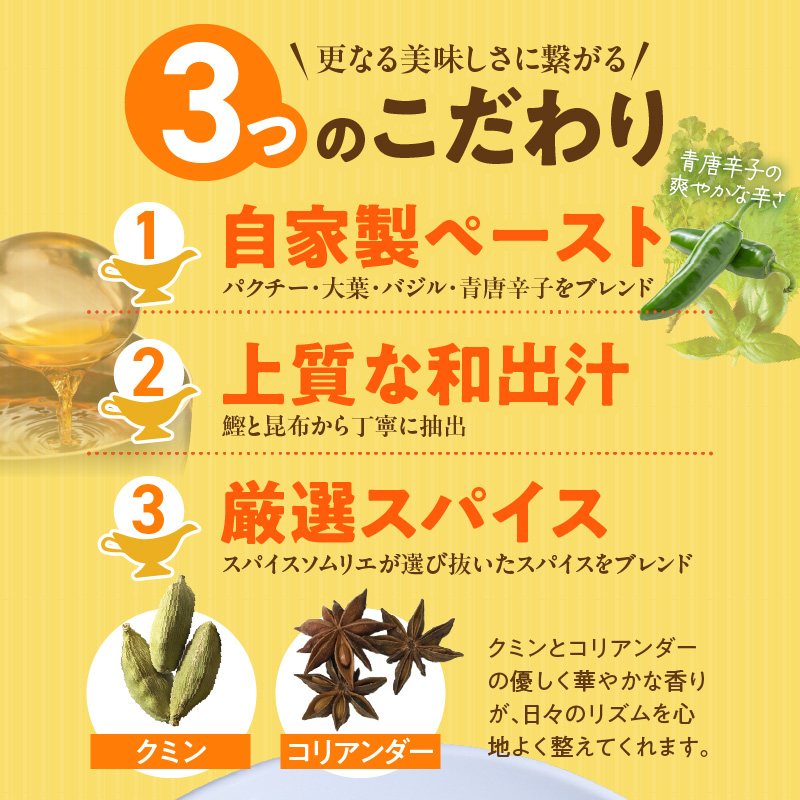 魚介のグリチリカレー_有明名産 漬けあみ グリーンカレー 180g × 5パック 和製 コク深い 鼻から抜ける爽やかな辛さ カレー カレーライス 時短 レトルト 食品 加工品 肉加工品 惣菜 福岡県 