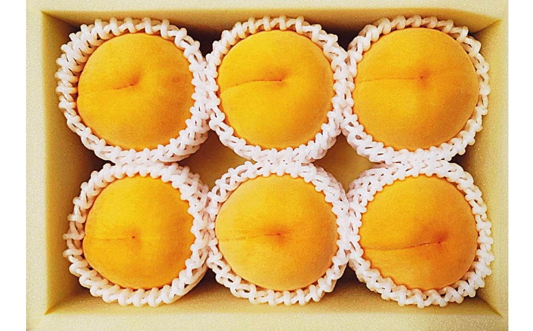 黄金桃 6玉 （1.6kg以上） 化粧箱入り 【2025年8月下旬～9月上旬まで発送予定】 ／ 黄桃 桃 もも 果物 果実 フルーツ 岡山県 美咲町 冷蔵