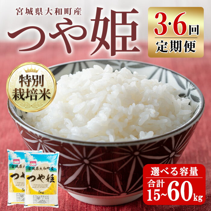 【ふるさと納税】【令和7年産】＜3・6か月定期便＞特別栽培米 つや姫 15kg〜60kg 回数と容量が選べる お米 おこめ 米 コメ 白米 ご飯 ごはん おにぎり お弁当 頒布会 5kg 10kg 【農事組合法人若木の里】ta547・ta548・ta549・ta550
