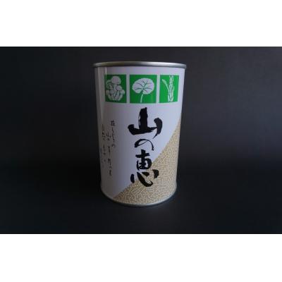 ふるさと納税 福島市 たけのこ 缶詰(根曲り筍)2缶セット　No.0549