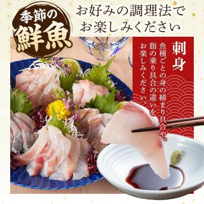 ふるさと納税 境港市 <金〜日着※指定日不可><期間限定><4月上旬〜10月末頃発送予定>朝獲れ鮮魚ボックス「美保湾の恵み |  | 01