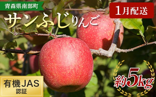 ［1月配送］ ≪先行予約≫ 有機JAS認証 サンふじ りんご 約5kg 【和楽堂りんご養生農苑】 青森りんご リンゴ 林檎 アップル 果物 くだもの フルーツ オーガニック 無農薬 おすすめ あおもり 青森県 三戸 南部町 5kg 以上 F21U-704