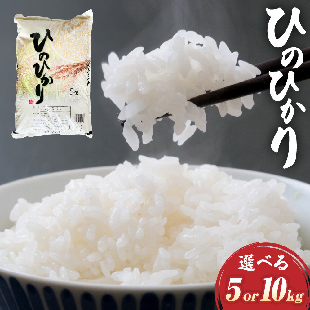 【ふるさと納税】＜選べる内容量＞【令和7年産】ヒノヒカリ 1袋5kg 5kg（1袋） / 計10kg（2袋） 精米 お米 白米 米 こめ 単一原料米 ごはん ご飯 国産 九州 熊本県産 湯前町 送料無料 【2026年10月下旬迄発送予定】