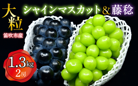 【2026年発送★先行予約】笛吹市産　大粒シャインマスカット・藤稔セット(2房)　1.3㎏ 227-006-26y