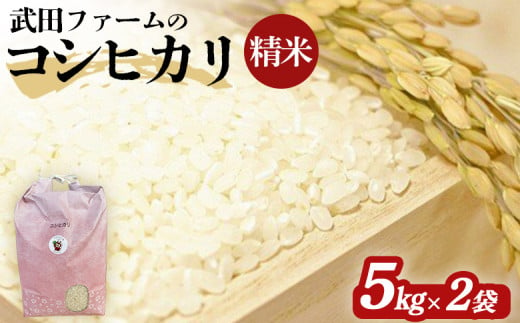 【令和6年産】 南相馬 コシヒカリ 精米 5ｋｇ×2袋 5キロ×2袋 武田ファーム 精米 白米 玄米 コメ ブランド米 食感 ツヤ 銘柄 炊き上がり 福島 福島県産 送料無料 ふるさと納税 オンライン