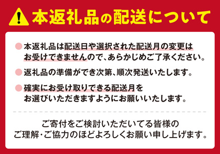 【2026年8月発送】TVで話題！札幌千秋庵 生ノースマン 4個入り 2箱 合計8個 銘菓 パイまんじゅう 菓子 北海道 人気 スイーツ