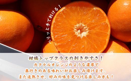 柑橘トップクラス剥きやすさ。
手で剥けてさらに白い繊維まで綺麗に取れちゃいます。