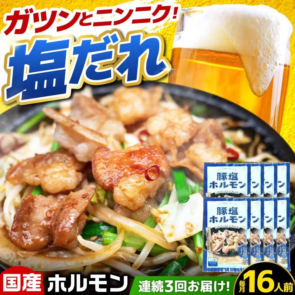 【3回定期便】岐阜県産豚もつの鉄板焼き「元祖みたけとんちゃん」豚塩味（16人前）[AVAA079]豚肉 定期