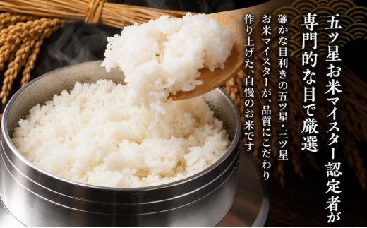 R7・8年産 新潟ブレンド米 5kg 新潟県 新潟市産 令和8年産 お米 精米 米 ご飯 送料無料